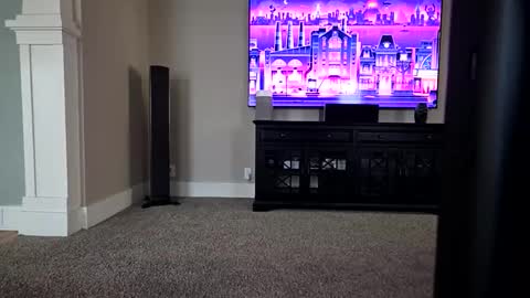 06girth online show from March 22, 2026, 8:23 pm