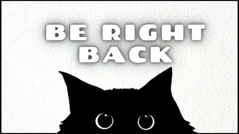 111__________________ online show from October 22, 2025, 1:11 pm