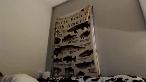 18str8igcock online show from November 1, 2025, 10:56 pm