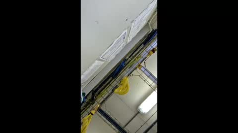 Snapshot of 1971berliner chatting on February 24, 2026, 12:03 pm 1971berliner online show from February 24, 2026, 12:03 pm