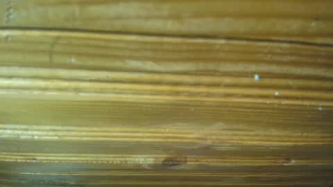 Carl the good girl online show from February 21, 2025, 11:44 am