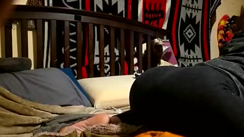 1knightluver69 online show from April 5, 2026, 8:44 am