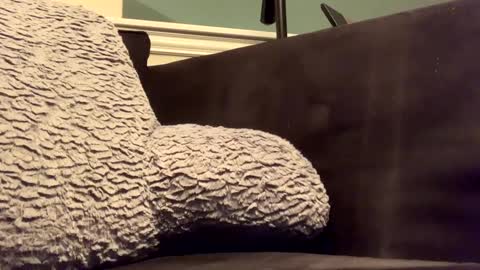 25923 online show from January 14, 2025, 11:58 pm