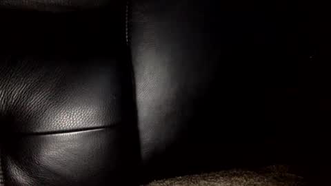 30nick online show from January 10, 2026, 7:37 pm