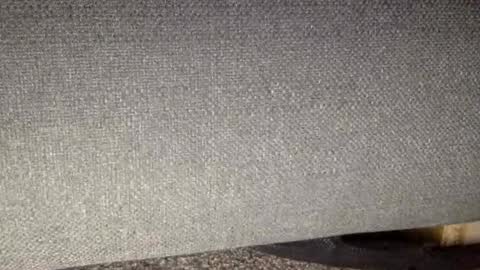 30nick online show from March 7, 2026, 9:06 am