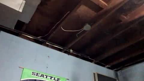 33adidas online show from November 9, 2025, 12:25 pm