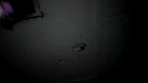 4j_n online show from April 27, 2026, 2:53 am