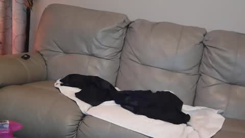 Jane online show from January 1, 2025, 8:04 pm