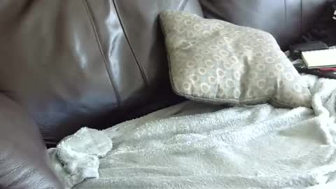 66bear online show from January 31, 2025, 6:57 pm