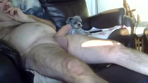 66bear online show from October 5, 2025, 11:41 am