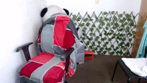 69 tania santos online show from January 7, 2025, 6:56 pm