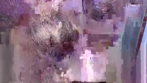 Snapshot of 69bidam chatting on December 14, 2025, 2:11 pm 69bidam online show from December 14, 2025, 2:11 pm