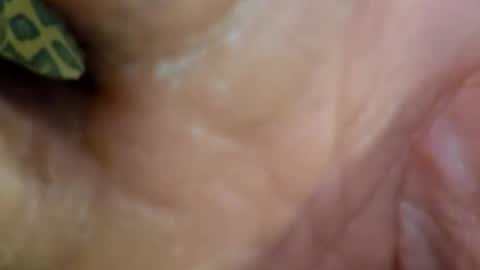 HUGH G RECTION online show from December 7, 2024, 9:00 pm