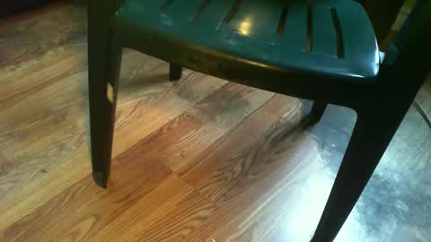 69forever453443 online show from September 25, 2025, 12:20 pm