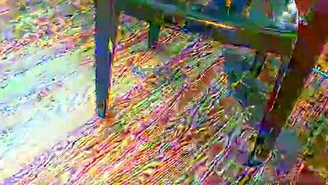 69forever453443 online show from November 24, 2025, 1:55 pm