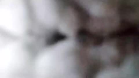 88piterr88 online show from February 17, 2025, 8:52 am