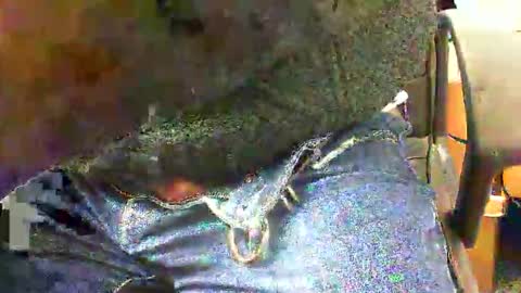 99zeus9 online show from November 27, 2025, 1:46 pm