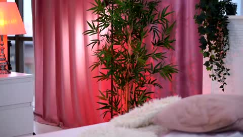 Arielle online show from December 28, 2024, 12:24 pm