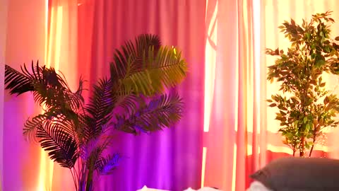 Arielle online show from February 12, 2025, 1:27 pm