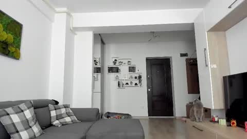 Snapshot of _arry chatting on February 20, 2025, 7:45 am Ariana online show from February 20, 2025, 7:45 am