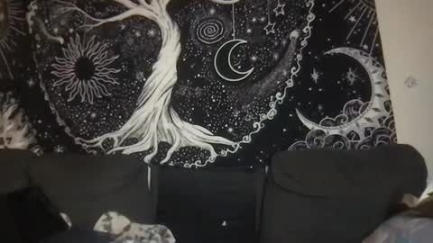 bandit online show from January 15, 2025, 2:38 am