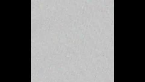 Brenda online show from September 13, 2025, 10:15 am