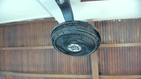 Candy online show from September 22, 2025, 5:59 pm