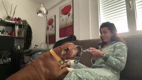 Snapshot of _elena_barra chatting on November 29, 2025, 12:41 pm elena barra online show from November 29, 2025, 12:41 pm