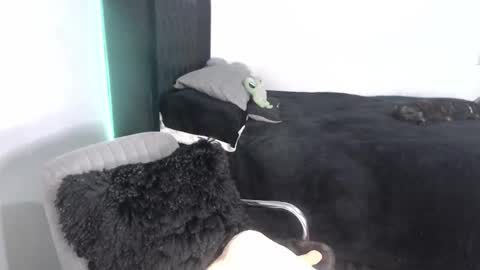 Snapshot of _ergo_proxy chatting on September 25, 2025, 2:15 am Proxy online show from September 25, 2025, 2:15 am