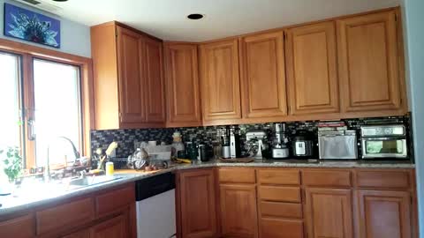 Frankie Rivers allmylinks  online show from March 6, 2025, 10:58 pm