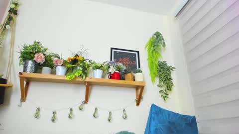 Ivanna  online show from January 23, 2025, 11:05 pm