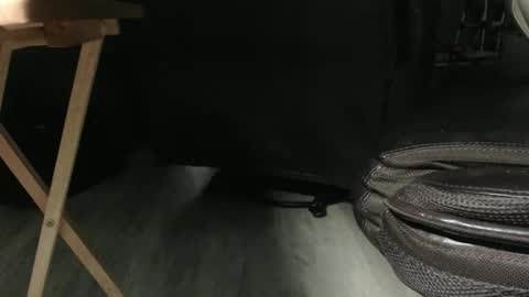 _jimmini online show from December 14, 2025, 8:02 pm