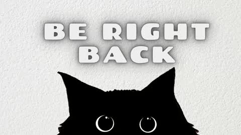 Stefany online show from February 6, 2026, 11:08 pm