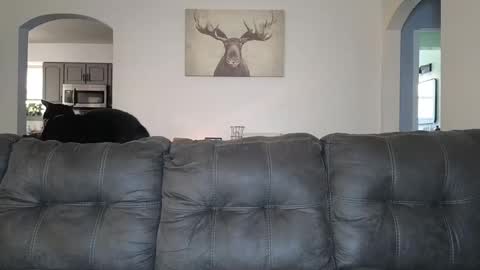 SophiaGraceKnight online show from October 3, 2025, 4:37 pm