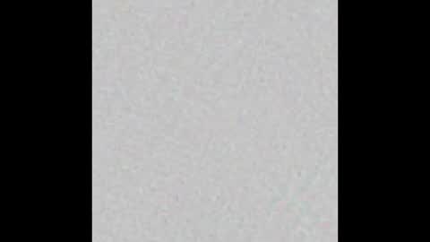 _tammarra_ online show from February 14, 2025, 2:54 pm