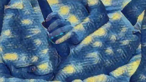 Evi online show from January 1, 2025, 3:23 am