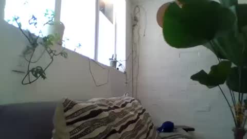 _tutti_frutti_ online show from February 5, 2025, 9:18 pm