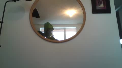 Snapshot of _tutti_frutti_ chatting on July 12, 2026, 7:16 pm _tutti_frutti_ online show from July 12, 2026, 7:16 pm
