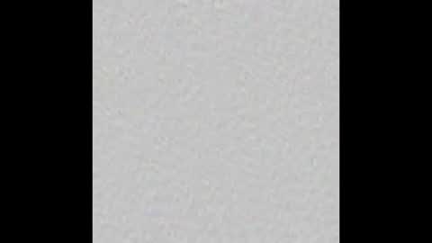 Vicky online show from September 24, 2025, 12:08 pm