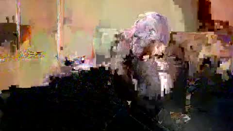 Snapshot of _yummybabes_ chatting on May 20, 2026, 8:59 pm Nicole Thomas Dave online show from May 20, 2026, 8:59 pm