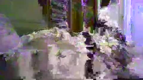 a203530 online show from January 8, 2026, 10:23 pm