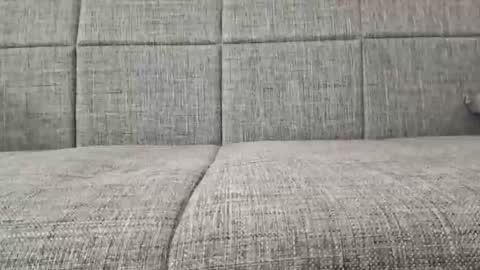 XXL online show from April 19, 2026, 3:39 am