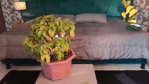 Snapshot of aaron_eze chatting on January 31, 2026, 8:51 pm Aaron Ezequiel online show from January 31, 2026, 8:51 pm