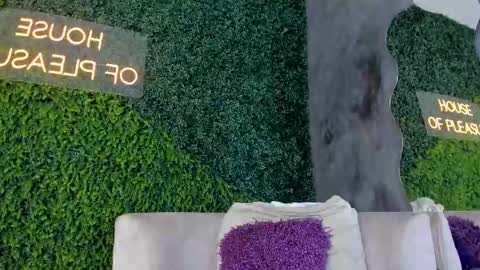 A B B Y online show from February 13, 2025, 11:50 am