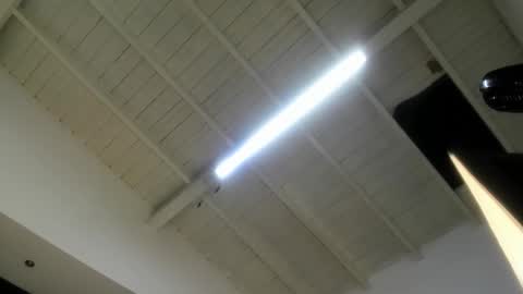 Abigail online show from October 7, 2025, 11:07 am