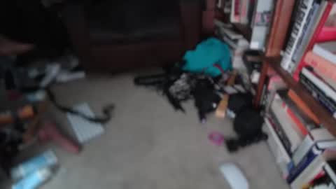 Snapshot of acacias2022 chatting on March 1, 2026, 1:24 pm aCACiAs2022 online show from March 1, 2026, 1:24 pm