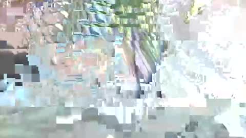 acexx8124 online show from February 23, 2026, 2:14 pm