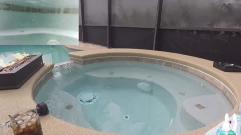 Adam And Eve online show from December 22, 2024, 5:32 pm