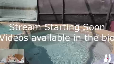 Adam And Eve online show from March 2, 2025, 3:27 pm