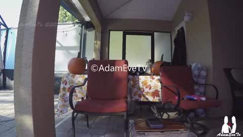 Adam And Eve online show from November 1, 2025, 8:33 pm